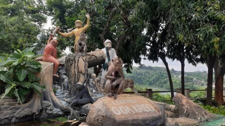 Wisata Edukasi Alam, Berkenalan dengan Kera di Goa Kreo Semarang